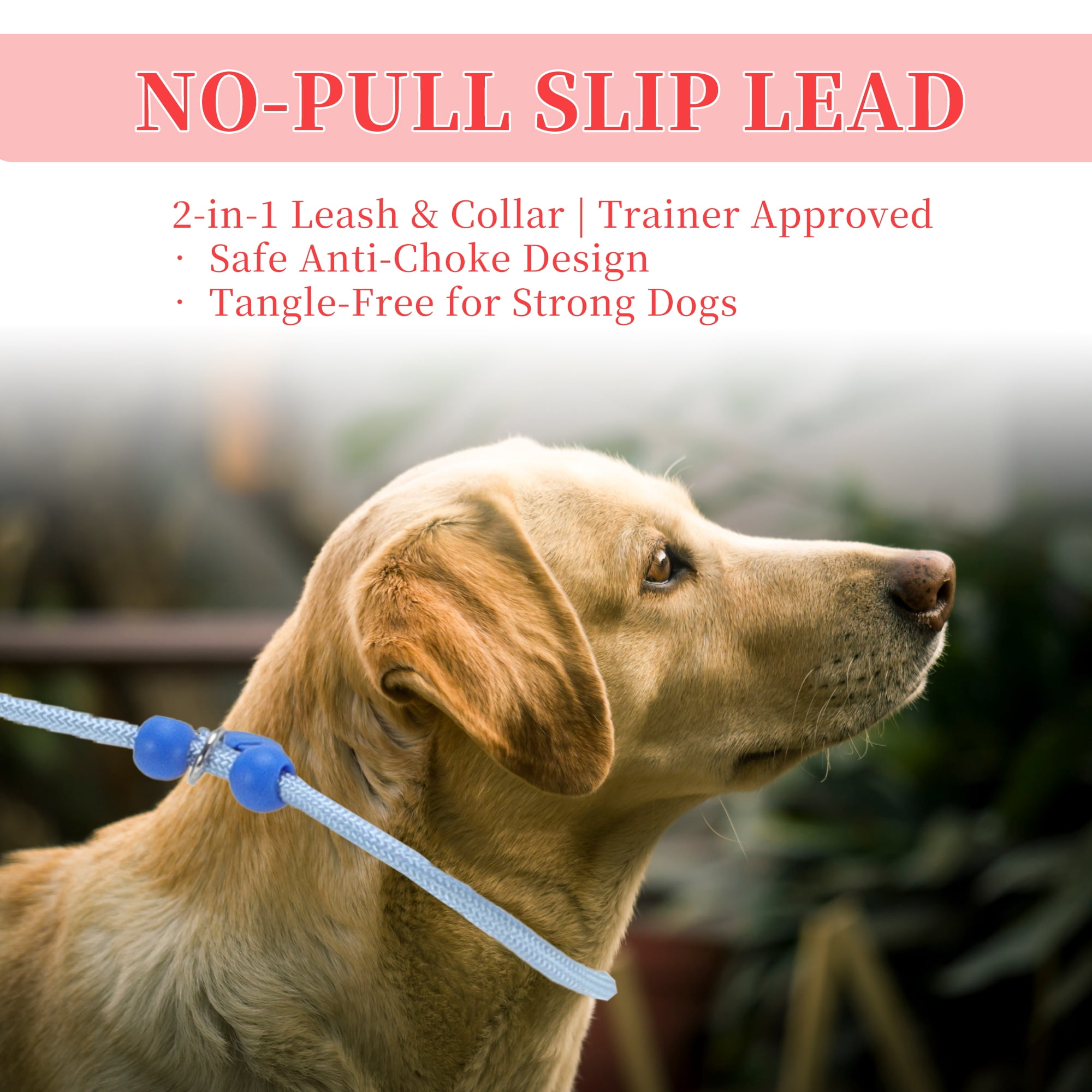 Unique Bargains Slip Leash for Dogs No Pull Heavy Duty Training Leash Medium Blue 5ft