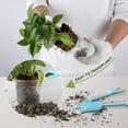 thumbnail image 4 of Clear Nursery Pots for Easy Monitoring & Transplanting - Sturdy & Reusable!, 4 of 9