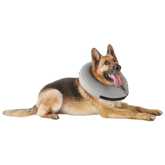 Buckle-Down Pet Collar, Dog Collar Plastic Buckle, Zarape Vertical Multi Color Stripe, 9.5 to 13 Inches 1.0 Inch Wide