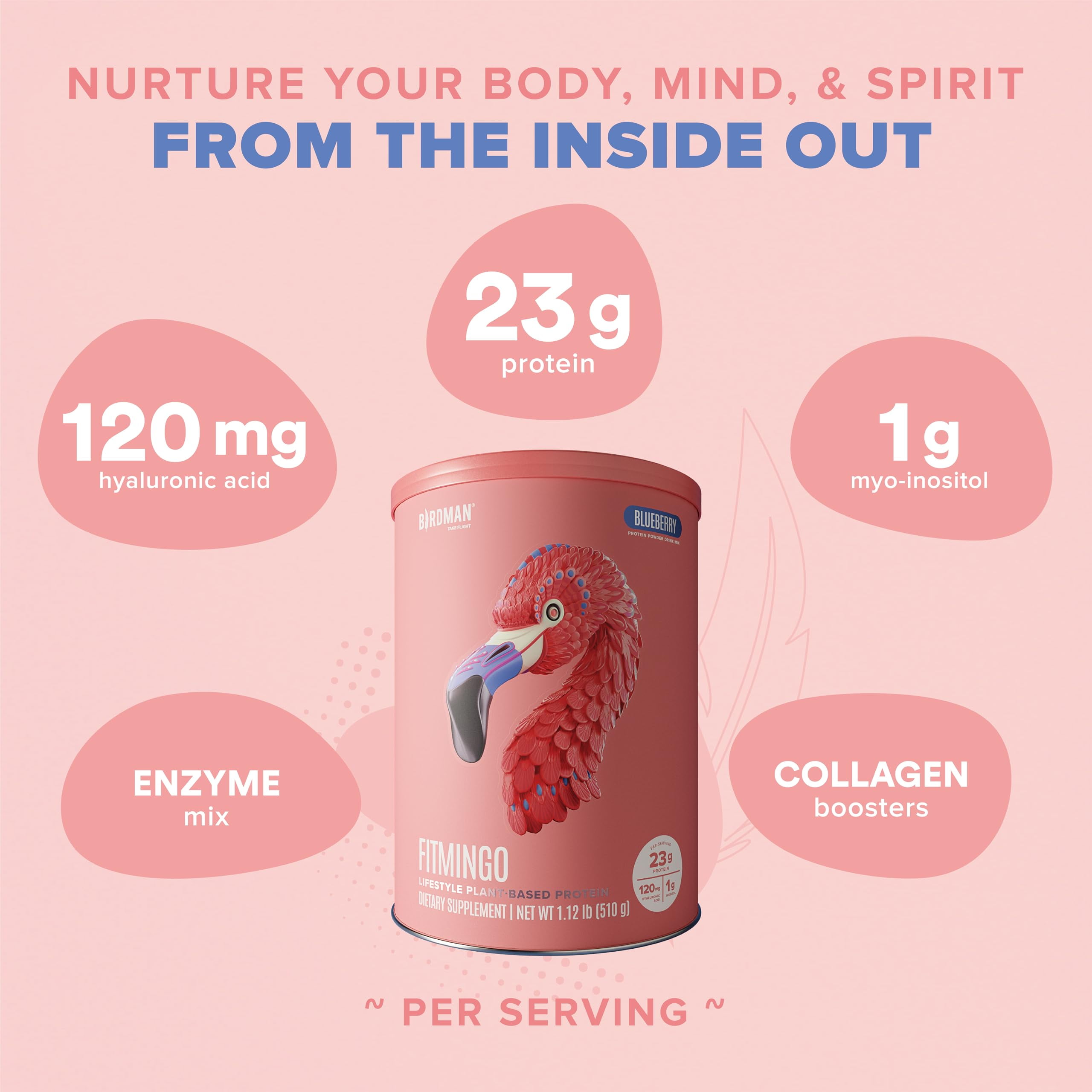 BIRDMAN Fitmingo Vegan Protein Powder with Inositol, 3 Blends, Blueberry, 15 Servings, 1.12lb