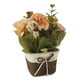 thumbnail image 1 of Planta Artificial En Maceta De Plástico Realista, Planta Artificial En Maceta, Plantas Artificiales En Maceta, Frescura Para Decoración Del Hogar Y La Oficina, 1 of 7
