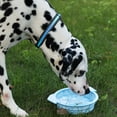 thumbnail image 3 of CBFFDC Dog Accessories Reflective Adjustable Collar with Metal D ring Buckle Striped Pattern Prevent Break Away Traction Tool for Dogs, 3 of 7