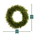 thumbnail image 5 of RAZ Imports 24" Green Sedum Succulent Spring Wreath, 5 of 6