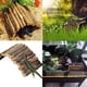 thumbnail image 3 of Juego de hamacas con forma de dragón barbudo de Kathson, puente de madera, 3 of 7