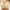 Khaki, variant on Clearance Sale! Women's Push Up Bra No Underwire Comfortable Bras Padded Plunge Lace Floral Bra Unlined Unlined Plus Size Full Coverage Bra Bras for Women No Underwire L