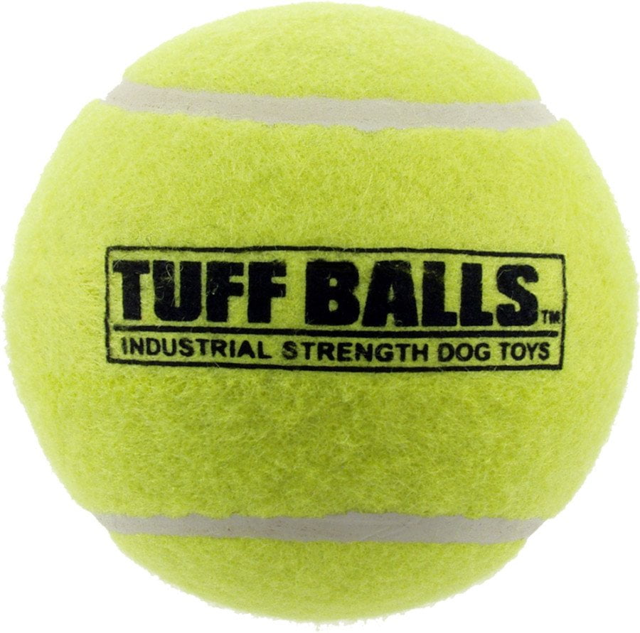 1 2 3 4 5 10 25 or 100 used high-quality TENNIS BALLS good cond DOG TOYS WALKERS 