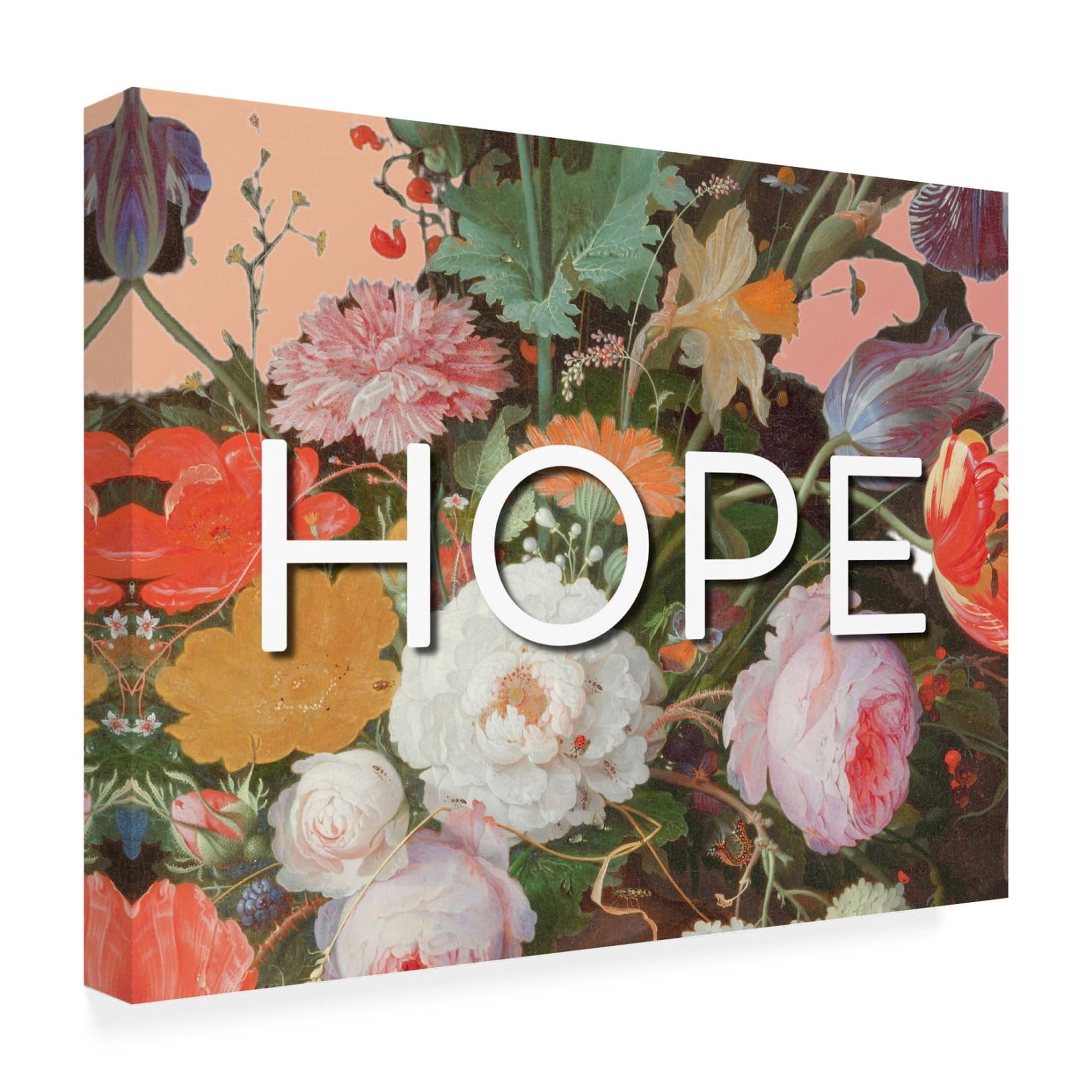 Canvas Wall Art - Sandra Iafrate 'Hope Flowers' Wall Art for Living Room, Bedroom, or Office Décor by Trademark Fine Art - 47 x 35 Inches