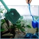 thumbnail image 5 of Limpiador de vidrio para tanque de peces, 2 rascadores de algas para acuarios, cepillo de limpieza para tanques de peces, esponja de limpieza para acuarios de tanques de peces, raspador de algas para acuarios, para acuarios de vidrio acrílico Sailing Electrónica, 5 of 6