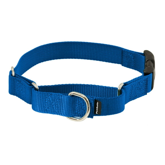 PetSafe Martingale Collar, Buckle, Large, Royal