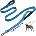 thumbnail image 1 of Correa para perro Fida Heavy Duty de 6 pies con 2 asas acolchadas, azul, 1 of 6