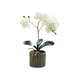 thumbnail image 1 of Arreglo Orquídea Artificiales Decoración 43 cm Malubero, Blanca, 1 of 5