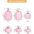 thumbnail image 2 of 12 Pcs Assorted Pink Plastic Pumpkins for Decorating - Artificial Foam Pumpkins for Fall Decor, Thanksgiving, Halloween, Wedding & Party, DIY Craft Fake Pumpkin for Table Centerpiece, 2 of 12