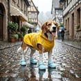 thumbnail image 6 of Dog Shoes, Dog Sandals for Hot Pavement, Non-Slip Waterproof Dog Booties for Winter Snowy Day and Summer, Adjustable Straps Easy-Clean Beach Outdoor Pet Boots Rugged Sole-4Pcs,Black,L, 6 of 6