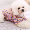 thumbnail image 1 of Flmtop Chandail en Molleton pour Animaux Col Rond Fournitures pour Animaux Coton T-shirt Rayé Coloré pour Chien d'Été Multicolore, 1 of 9
