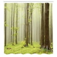 thumbnail image 3 of Ambesonne Spring Shower Curtain, Misty Beech Forest Photo, 69"Wx70"L, Brown Green, 3 of 5