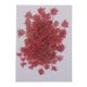 thumbnail image 2 of 6 piezas prensadas de flores reales de zanahoria flores secas para joyas DIY adornos de fundición de resina artesanía Rosado, 2 of 9