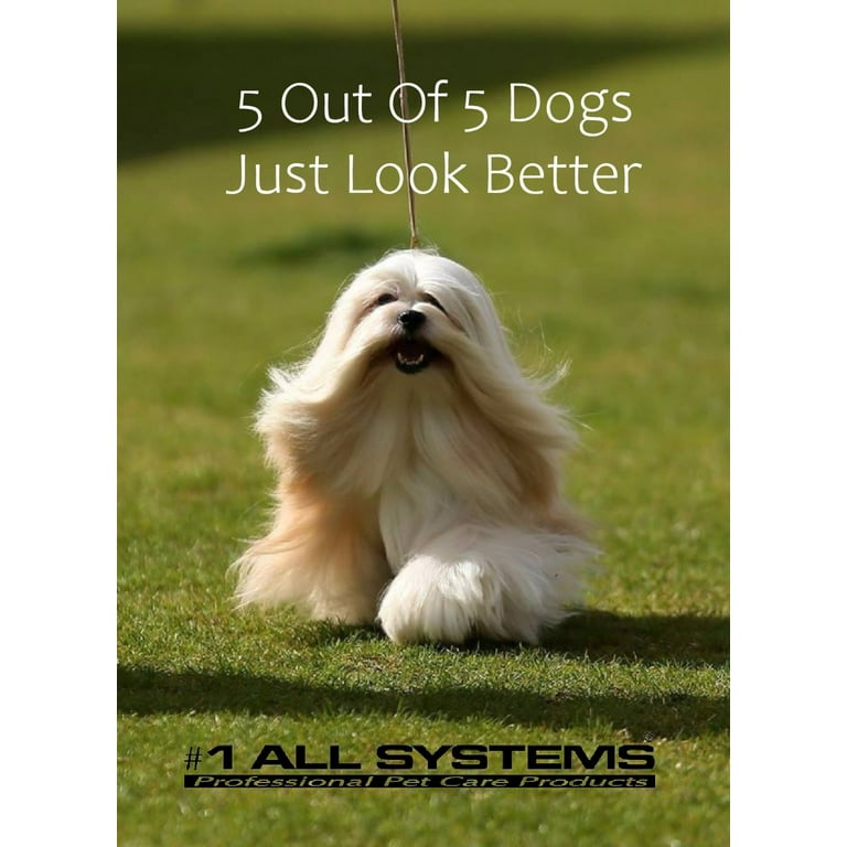 All systems dog grooming products top