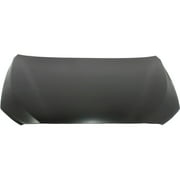 Hood for 2010-2015 BMW 550i GT REPB130126