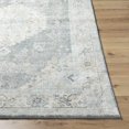 thumbnail image 4 of BoutiqueRugs Tyche Traditional Area Rug - Beige, Light Gray, Gray - 6'7" x 9'2", 4 of 9