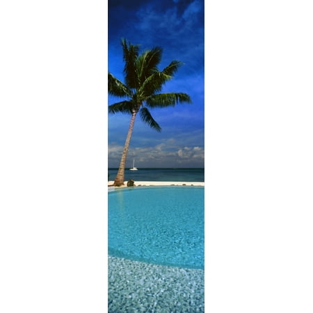 Palm tree by a pool overlooking the ocean Tahiti French Polynesia Canvas Art - Panoramic Images (12 x