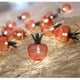 thumbnail image 5 of Guirnalda de 20 luces LED de manzana, de malla metálica y funciona con pilas, ideal para dormitorio, boda, interior/exterior, fiesta, 1 paquete, 3 metros de largo., 5 of 5