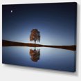thumbnail image 2 of Arbre Près du Lac la Nuit, 2 of 3