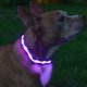 thumbnail image 1 of Collar LED para perro Blazin Light Up USB recargable a prueba de agua, 1 of 9