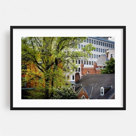 Tree Lined - Baltimore Maryland Photography Black Framed Wall Art Print 24 x 36 inches