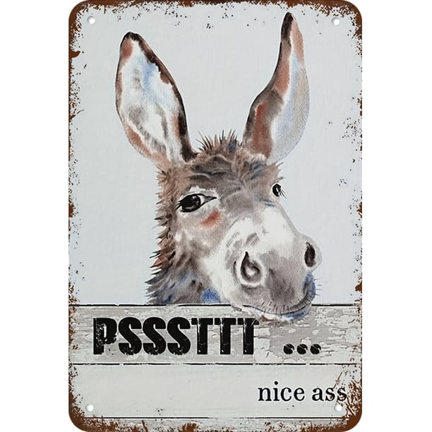 Placa Metal Vintage Burro Pintura Hierro Rectangular Arte Pared Del 20x30cm