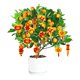 thumbnail image 4 of 12 Piezas de colgantes de Decoración de Año Nuevo Chino Sunnimix Estilo Bonsái E, 4 of 6