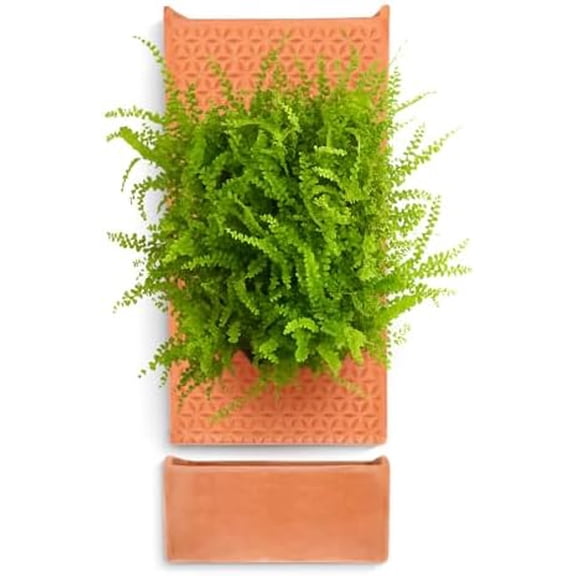Terracotta Self Watering Wall Pots for Indoor Plants, Hanging Planters for Indoor Plants Holder, Terra Cotta Pot Home Decor$$Garden & Patio