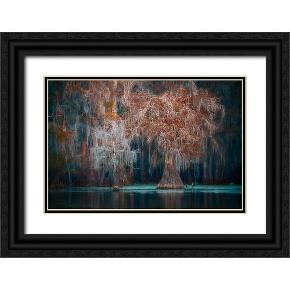 Marchegiani, Roberto 14x11 Black Ornate Wood Framed with Double Matting Museum Art Print Titled - Louisiana