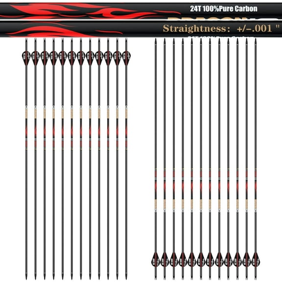sanlida 24 PCs, 100% Pure Carbon, 0.001'' Straightness, Dragon 10 Flagship 24T Carbon Hunting Arrows for Compound Bow, Professional Standard Hunting Arrows with Removable Tips