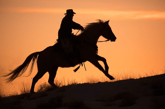 Details about   Two Cowboy Silhouettes At SunsetCowboy License Plate 