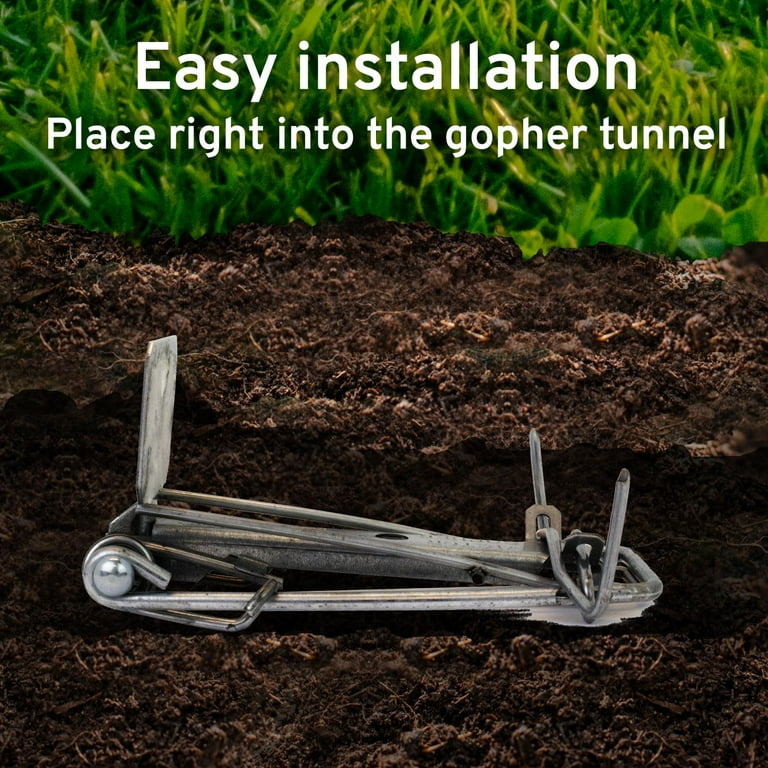 0610 Victor Easy Set Gopher Trap 12 Pack Walmart