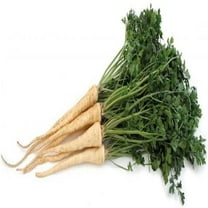 Hamburg Rooted Parsley Seeds - 500 Count Seed Pack - Non-GMO - Parsley flavored root and leaves. Used as a flavoring in soups and salads, as a garnish. - Country Creek LLC