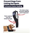 LufeLux Dog Leg Sleeve, Dog Compression Sleeve, Dog Cone Alternative