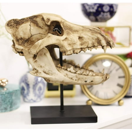 Ebros Direwolf Fossil Skull Statue On Pole Mount and Brass Name Plate 12.5" Long