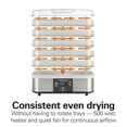 thumbnail image 4 of Hamilton Beach Digital Food Dehydrator Machine with 5 Stackable Trays, 500W, Grey, 4 of 8