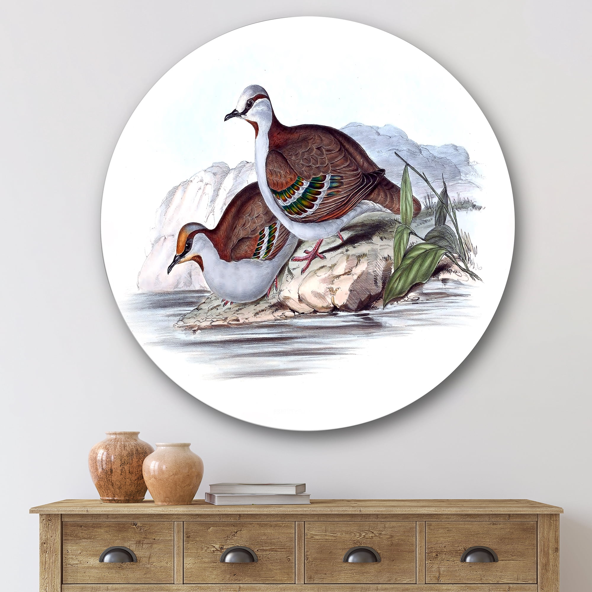 Designart 'Ancient Australian Birds IX' Traditional Circle Metal Wall Art 36x36 - Disc of 36