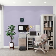 Glidden Fundamentals Wild Lilac / Purple, Flat Interior Paint, 1 Gallon