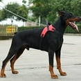 thumbnail image 3 of Flmtop Large Dog Harness Soft Adjustable Training Harness Pet Walk Out Hand Strap Vest Camouflage, 3 of 8