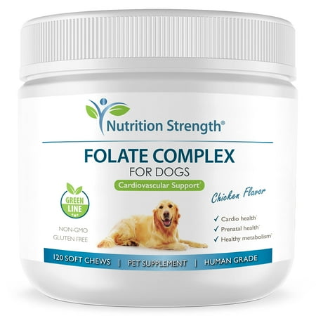 Nutrition Strength Folate for Dogs to Promote Cardiovascular & Prenatal Health, Support DNA Synthesis & Cell Maintenance, Folic Acid for Dogs with Zinc, Biotin, Iron & Vitamin B12, 120 Soft Chews C80