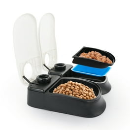 Auto cat feeder walmart 2025