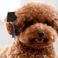 thumbnail image 3 of SWETRACE 4Pcs Assorted Color Dog Graduation Hats Adjustable Strap Pet Costume Photo Prop Accessories, 3 of 8
