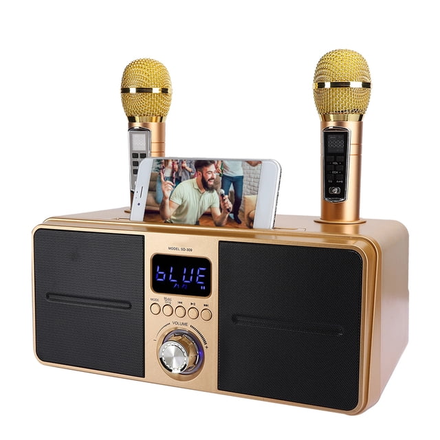 Karaoke Sound, Integrated Sturdy Metal Wireless Microphone System One Machine Multi Purpose For Karaoke Or