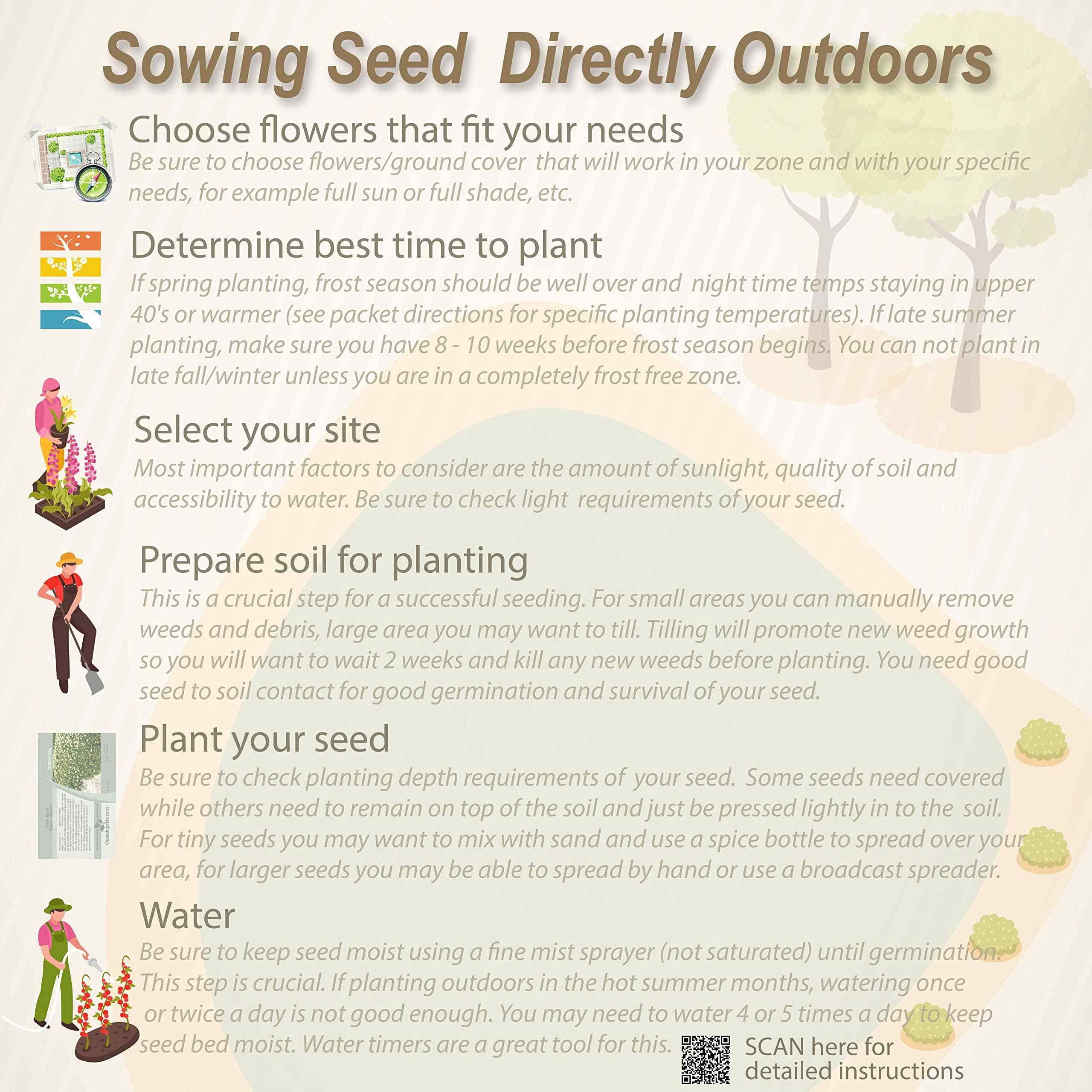 Outsidepride 5 lb. Southeast Wild Flower Seed Mix for Southeastern States