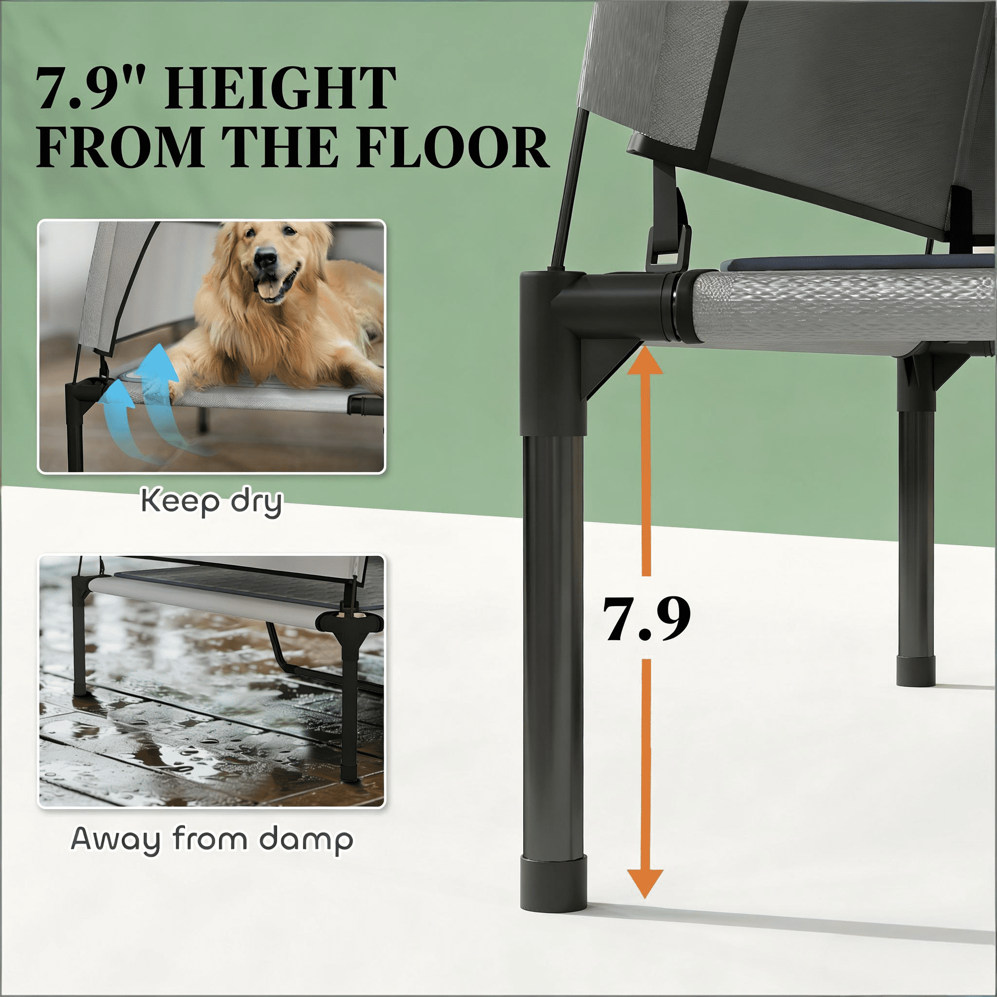 Raised Pet Cot, Elevated Portable Dog Cot