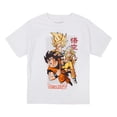 thumbnail image 7 of Dragon Ball Z Character Art 3-Pack Crew Neck Short Sleeve Youth Boy's T-shirt Set  Medium, 7 of 7