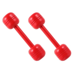 BRIGHTFUFU 2pcs Round Handle Dumbbells for Children's Home Exercise Fun